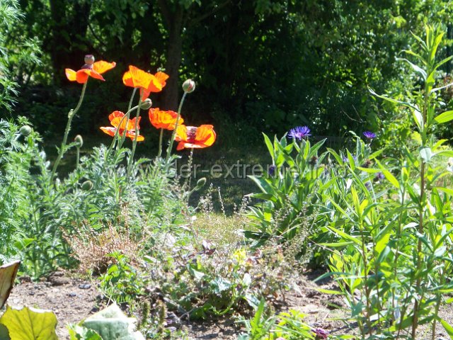 100_2310.JPG