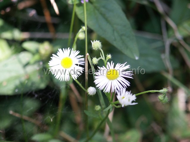 PICT0068.JPG