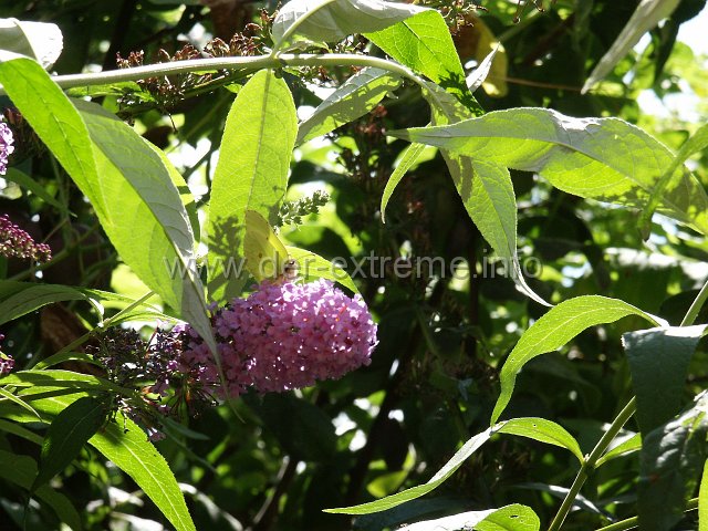 PICT0070.JPG