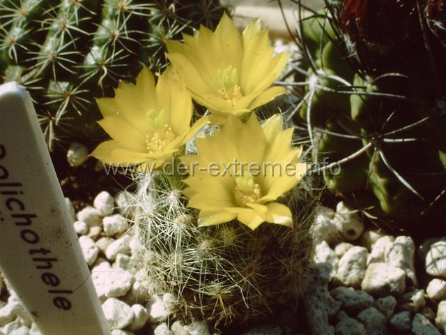 PICT0137.JPG