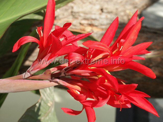 PICT0786.JPG