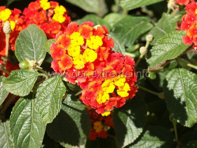 PICT0852.JPG