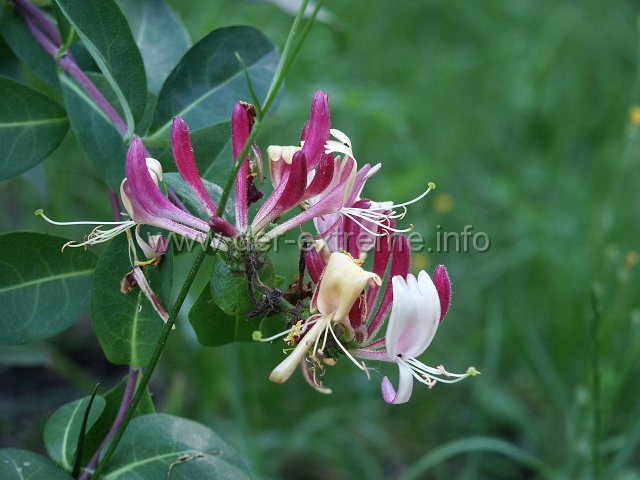 PICT1070.JPG