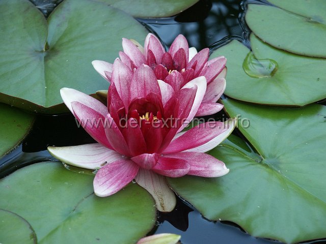 PICT1072.JPG