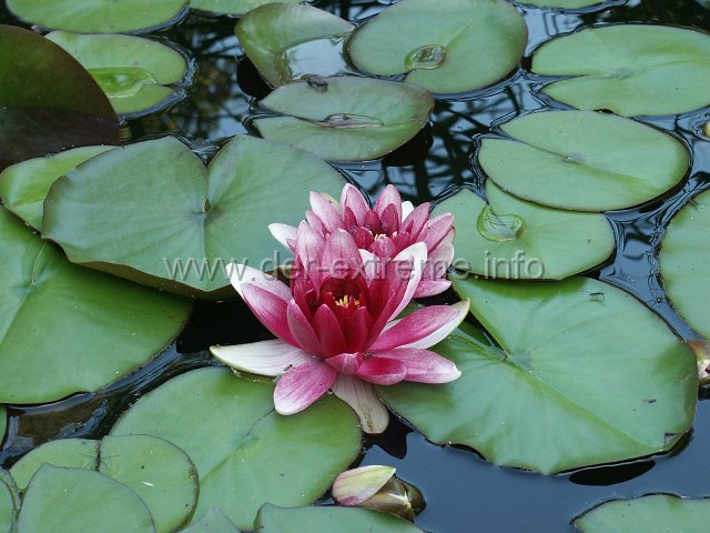 PICT1074.JPG