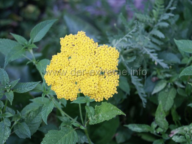 PICT1075.JPG
