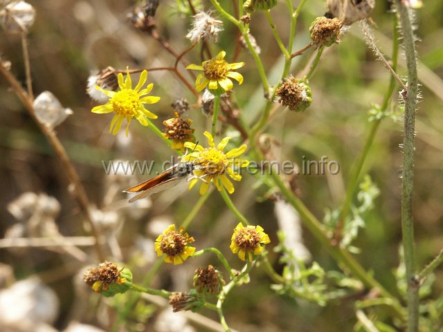 PICT1105.JPG