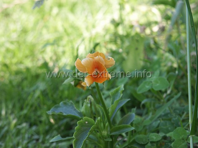 PICT1114.JPG