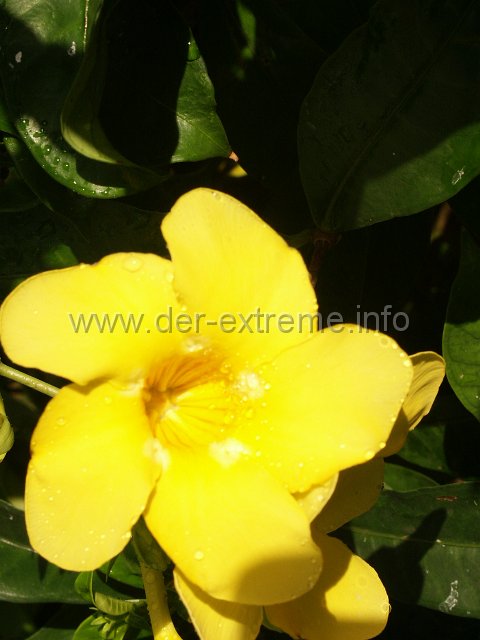 PICT1717.JPG