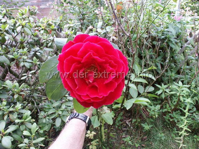 PICT2039.JPG