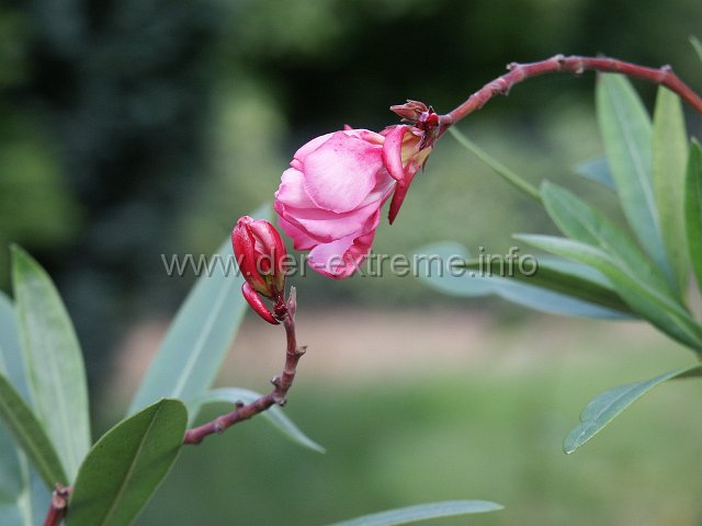 PICT2056.JPG