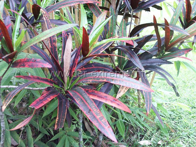 PICT3452.JPG