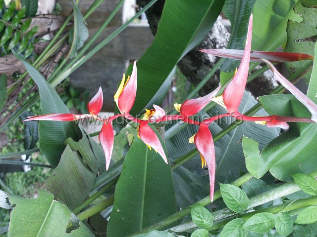 PICT3455.JPG