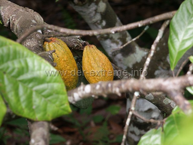 PICT3634.JPG