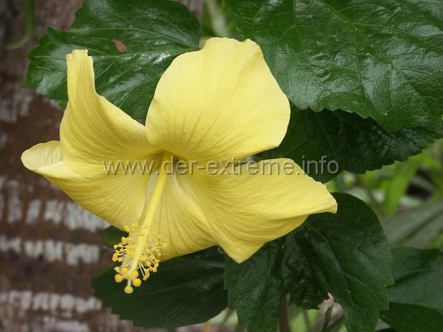 PICT3637.JPG