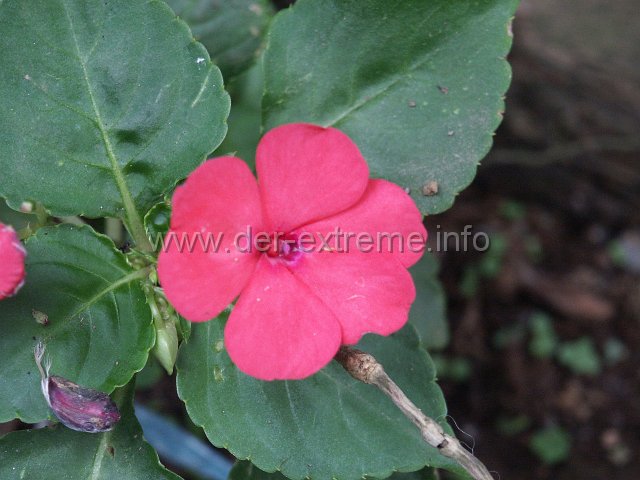 PICT3739.JPG