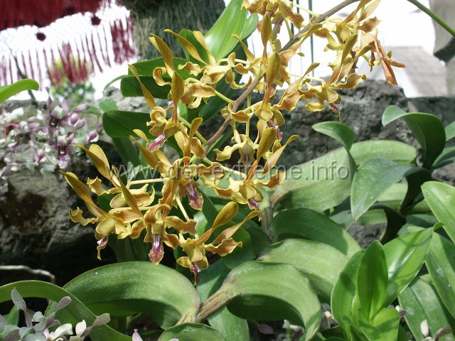 PICT3899.JPG