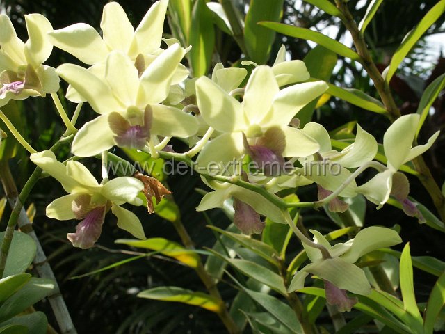 PICT3903.JPG