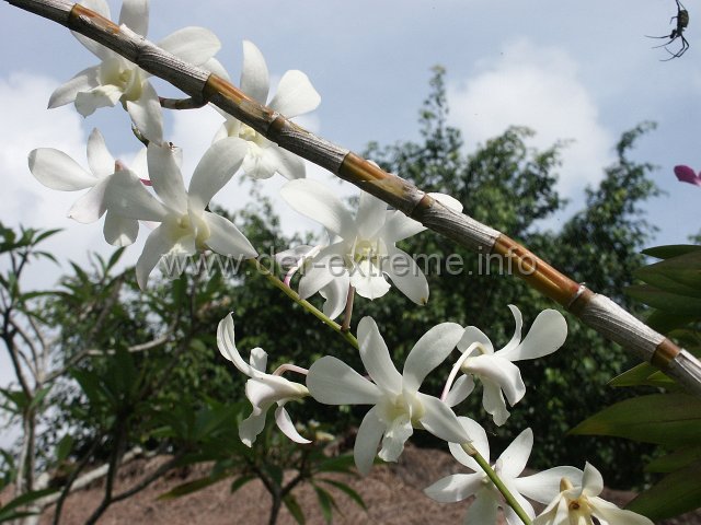 PICT3905.JPG