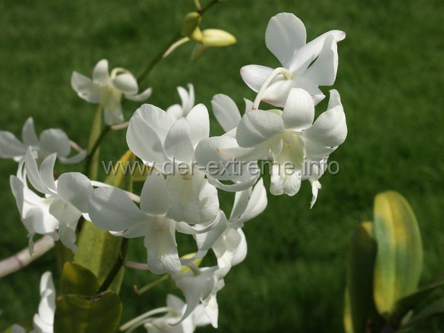 PICT3907.JPG