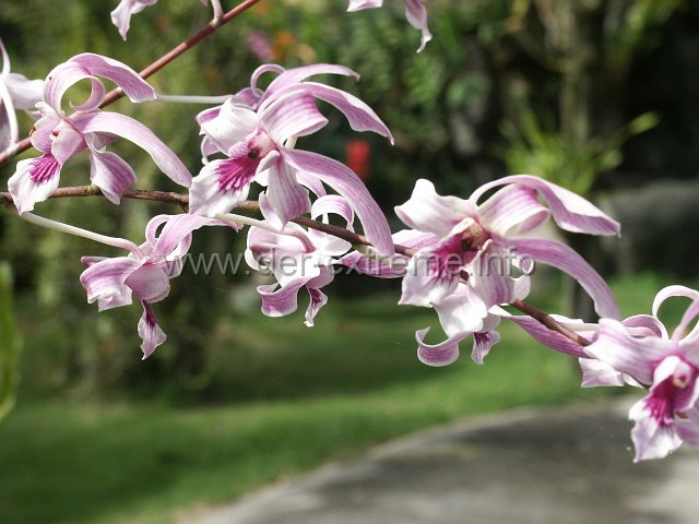 PICT3908.JPG