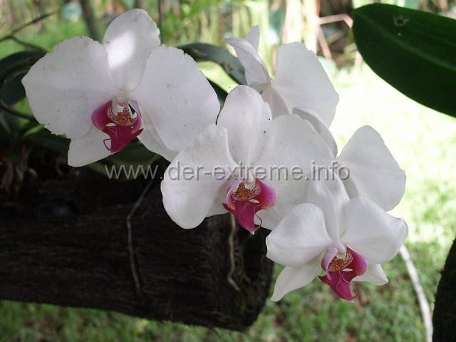 PICT3916.JPG