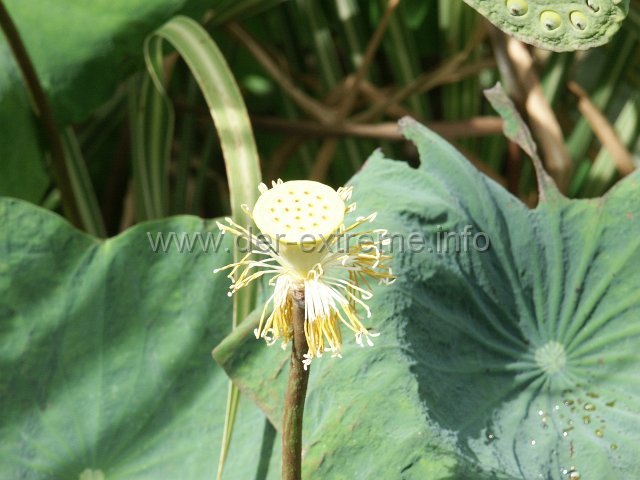 PICT3919.JPG