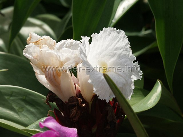PICT3923.JPG