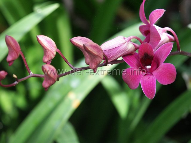 PICT3925.JPG