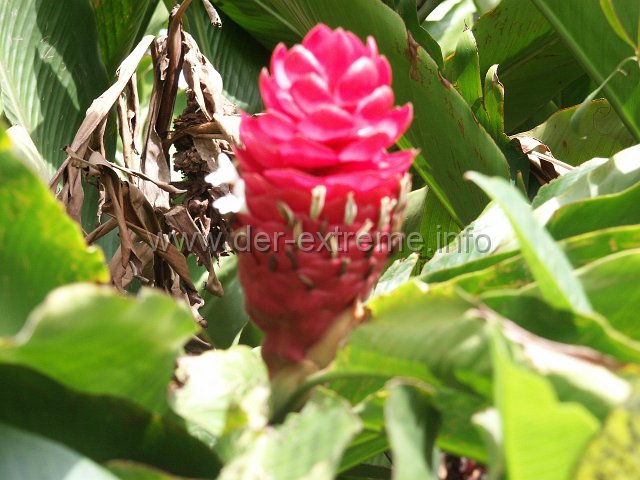 PICT3928.JPG