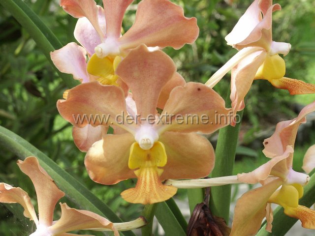 PICT3933.JPG