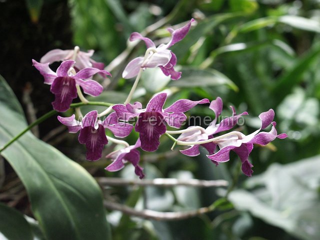 PICT3941.JPG