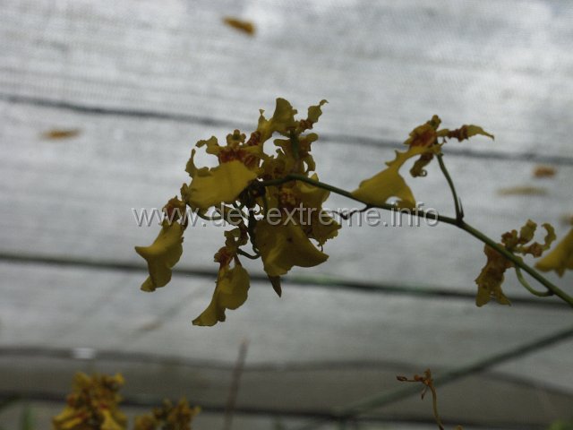PICT3943.JPG