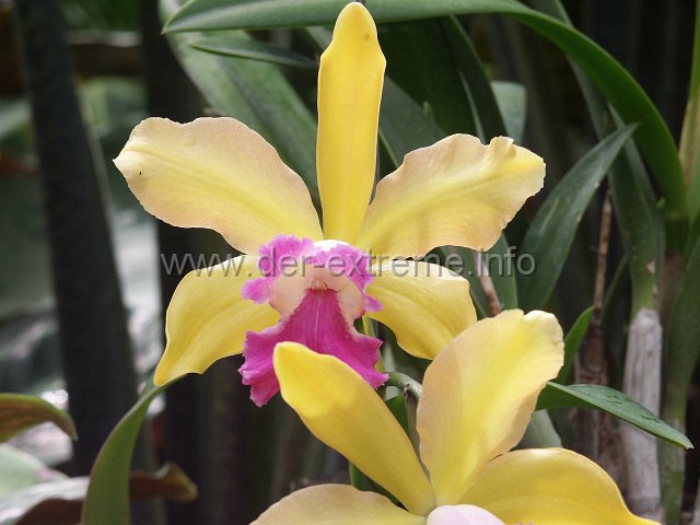 PICT3951.JPG