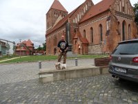 DSC07918