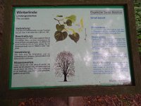 DSC08349