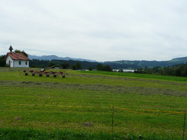 image14