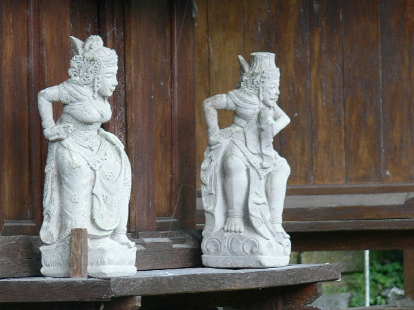 image10