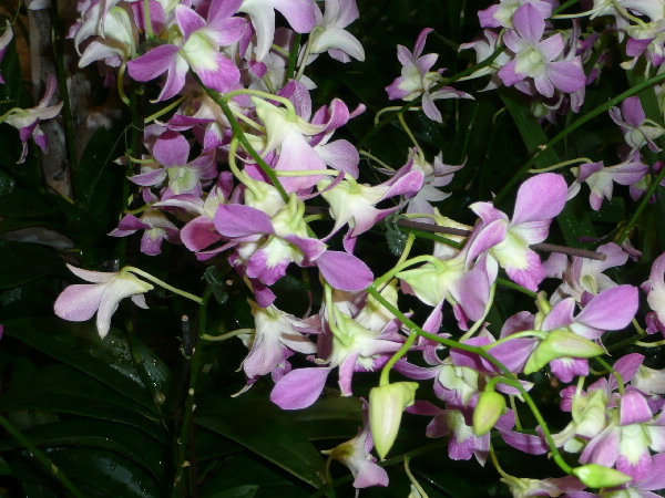 image101