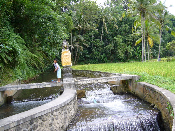 image126