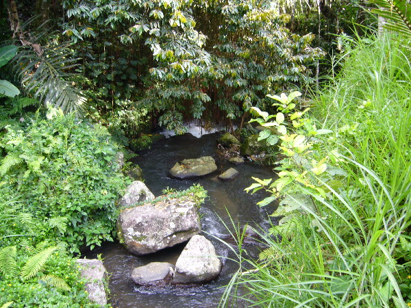 image128