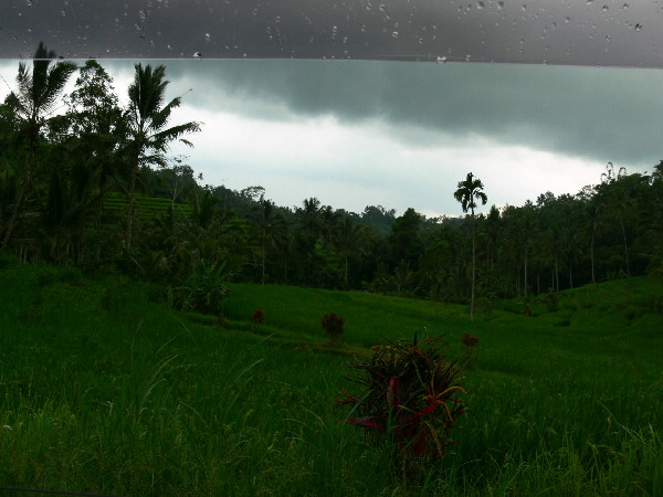 image13