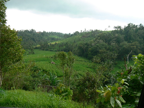image14