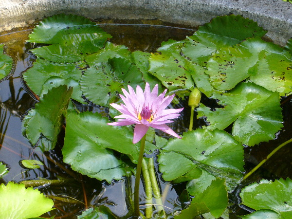image158