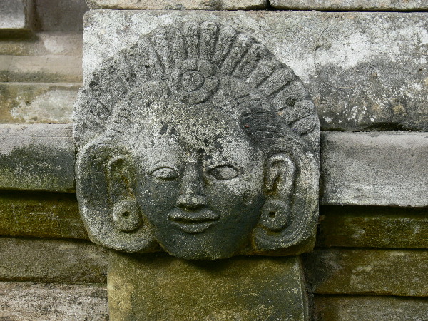 image173