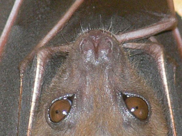 image18