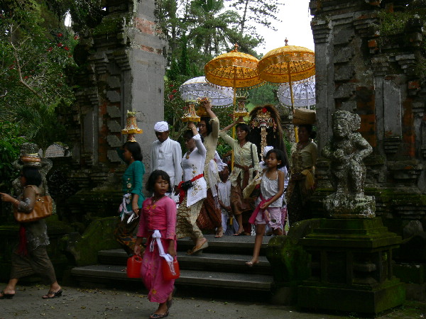 image41
