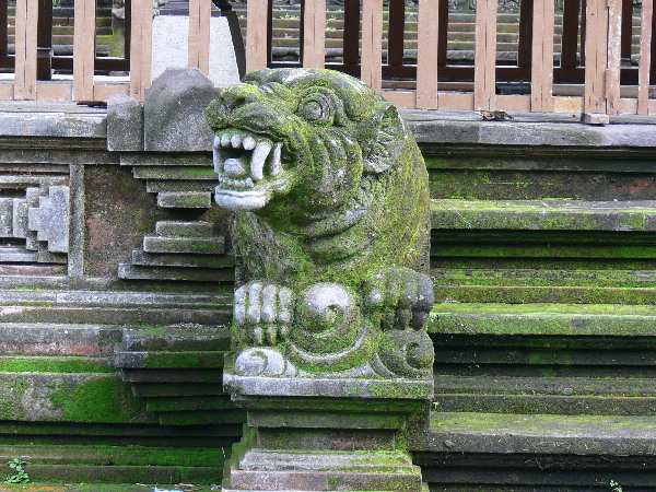 image43