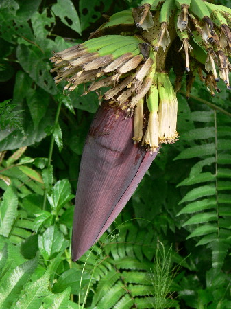 image58