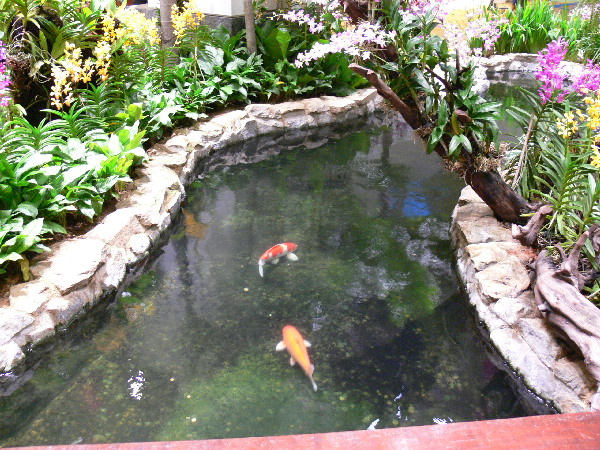 image60